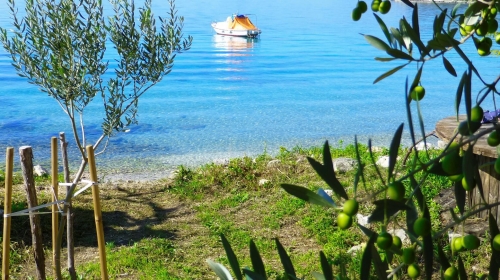 DUBROVNIK | PRVI RED DO MORA, UZ PLAŽU – U ZELENILU, STAN 57 m², TERASA, novogradnja